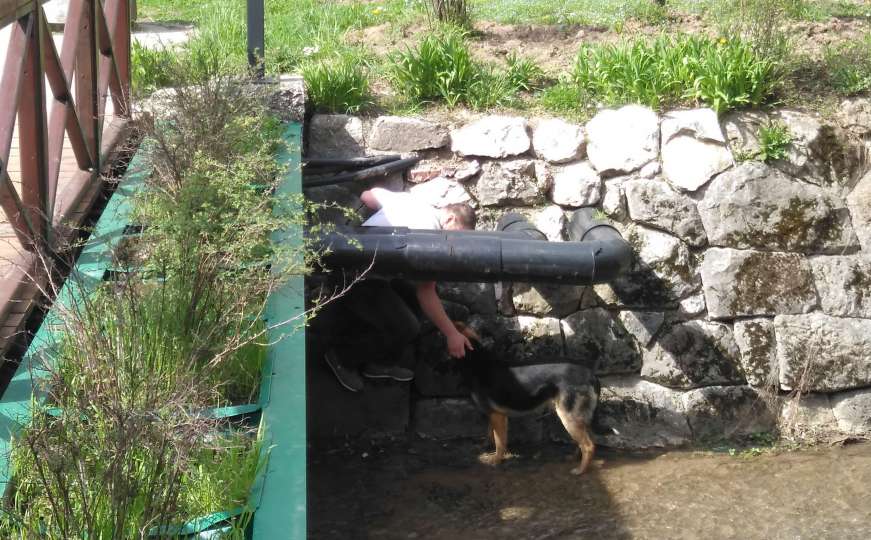 Sarajevo: Čovjek spasio psa iz Koševskog potoka