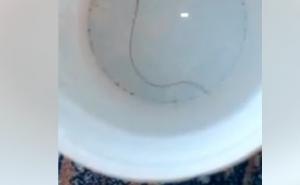 Građanin Srebrenika tvrdi da mu je iz česme izašlo zmijoliko stvorenje 