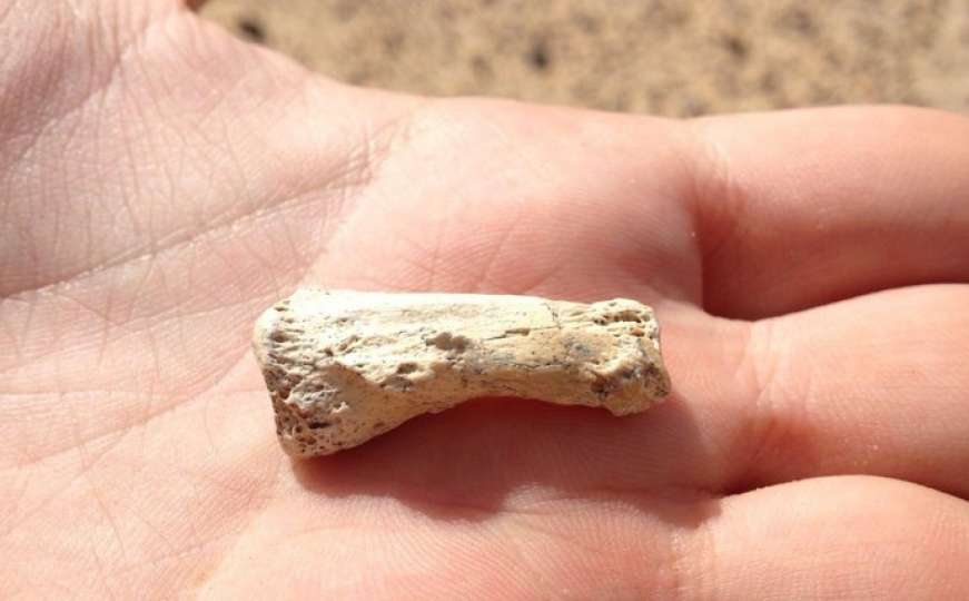 U Saudijskoj Arabiji pronađena ljudska kost stara 85.000 godina