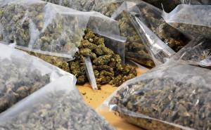 Iz skladišta nestalo 540 kg marihuane, policajci tvrde da su je pojeli miševi