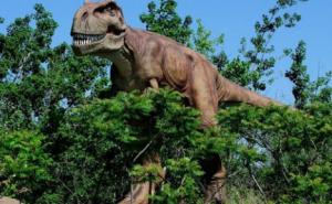 Geolog tvrdi: Kod Neuma otkrivena nalazišta dinosaurusa