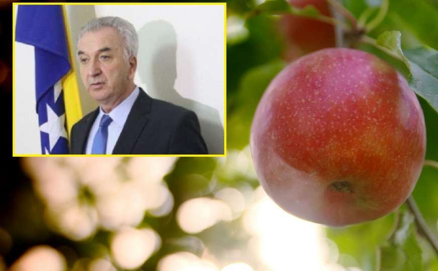 Šarović: Prije nego odobre uvoz jabuka Rusi dolaze u BiH da provjere stanje