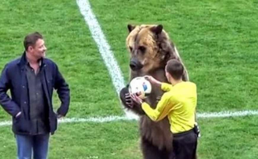 Nesvakidašnji slučaj: Medvjed predao loptu sudiji i pozivao navijače na aplauz