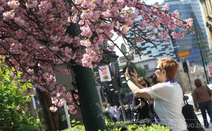 Građani uživali u lijepom vremenu i šetnji "probeharalim Sarajevom" 