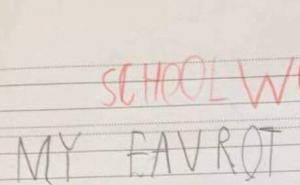 Školski rad: My favrot food is janjetina