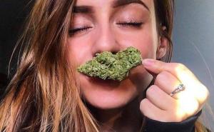 Naučnici tvrde: Bolji učenici skloniji alkoholu i marihuani od lošijih