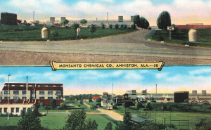 Monsanto i zatrovani grad