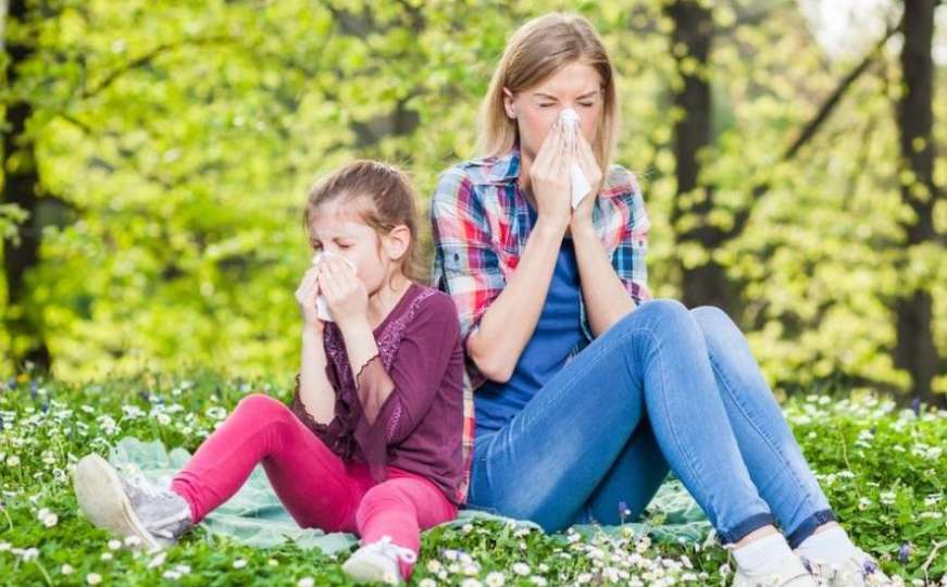Sarajevo: Zabilježena visoka koncentracija polena, preporučen boravak na planinama