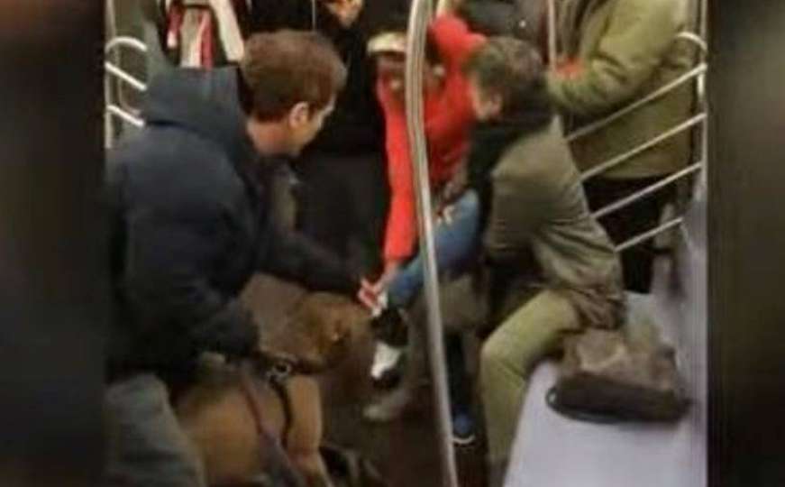 Pit bull napao ženu u metrou: Ona je kriva, udarila ga je prva