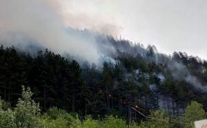 Požar kod Konjica: Vatrogasci odbranili kuće, trenutno gašenje vatre kod releja