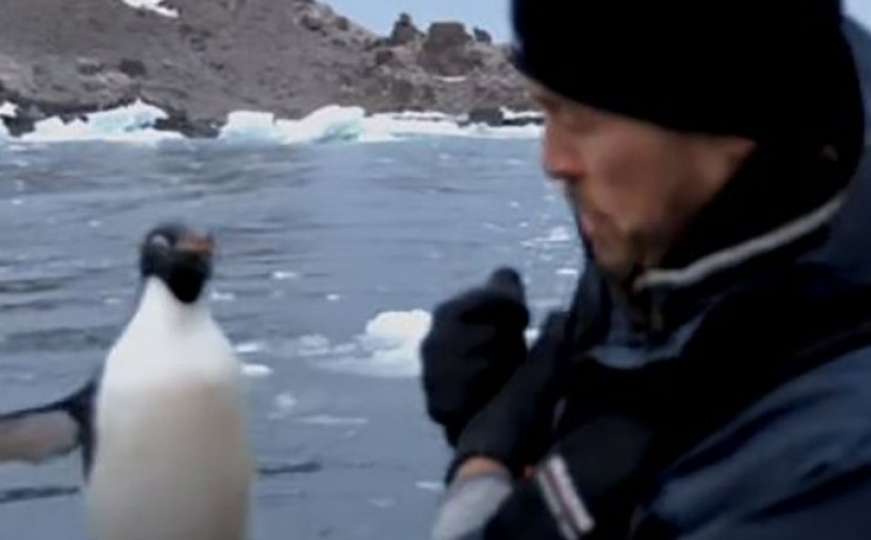 Pingvin uskočio u čamac ekipe koja je snimala dokumentarac