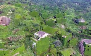 Napušteno ribarsko selo u Kini sada "osvajaju" biljke 