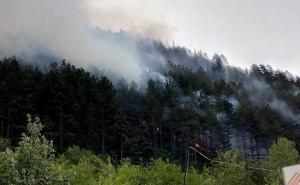 Vjetar ponovo rasplamsao požar u Konjicu, kuće nisu ugrožene