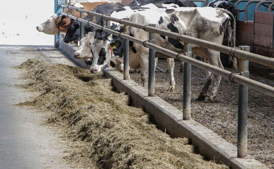 Vlada FBiH: Za poticaje poljoprivredi više od 58 miliona KM