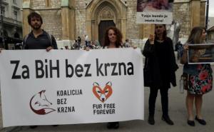 U Budimpešti, Beogradu i Sarajevu održan marš protiv krzna