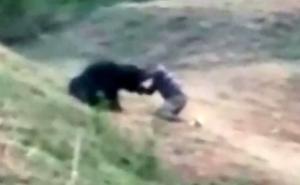 Indijac poginuo dok je pokušao napraviti selfi s medvjedom