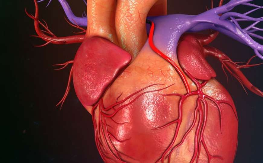 Sindrom starog srca: Saznajte koliko je zdrav vaš najvažniji mišić u tijelu