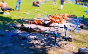 Šok za žitelje i policiju Berlina: Državljani BiH okrenuli 12 janjadi u parku