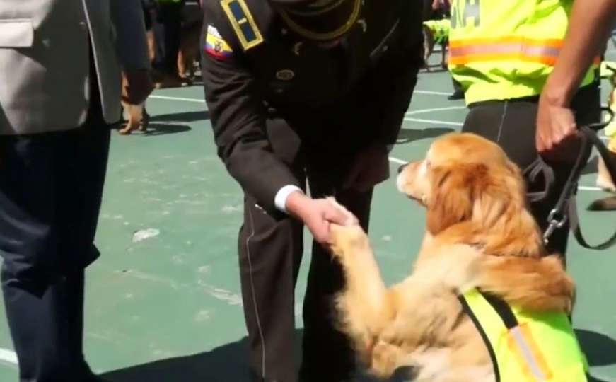Policijski psi uz zvuke nacionalne himne svečano ispraćeni u penziju