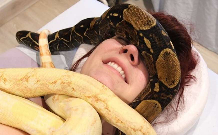 Ekstravagantna masaža zmijama: Opuštaju stres i stvaraju zadovoljstvo