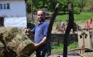 Bizarno pismu Vučiću: Zatvorenik traži da mu u ćeliju dovedu kravu i kokoške