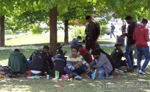 Eskalacija krize: Do kraja ljeta u BiH će stizati 400 migranata sedmično