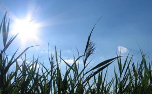 Toplo i sunčano vrijeme danas u BiH, temperature do 28 stepeni