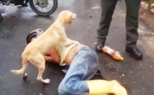 Vlasnik se onesvijestio nasred ulice, pas preuzeo brigu na sebe