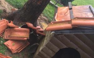 Grom ubio psa u Busovači 