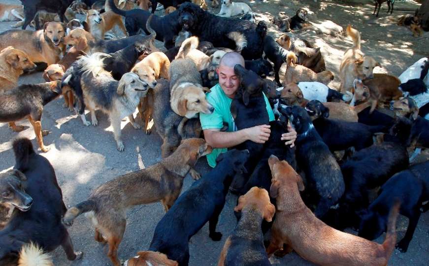 Saša iz Niša brine o 800 spašenih pasa