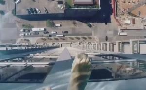 Da li biste se usudili okupati u ovom bazenu