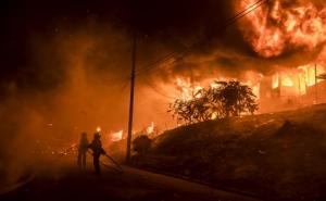Nakon više od šest mjeseci, ugašen najveći šumski požar u historiji Californije