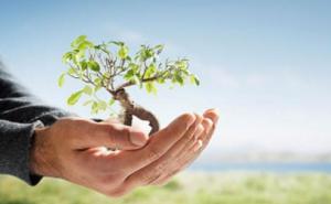 Svjetski dan okoliša: Ovogodišnji moto "Pobijedimo zagađenje plastikom"