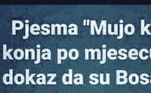 Kakav Armstrong, kakvi bakrači: Bosanci su na mjesec išli konjima... 