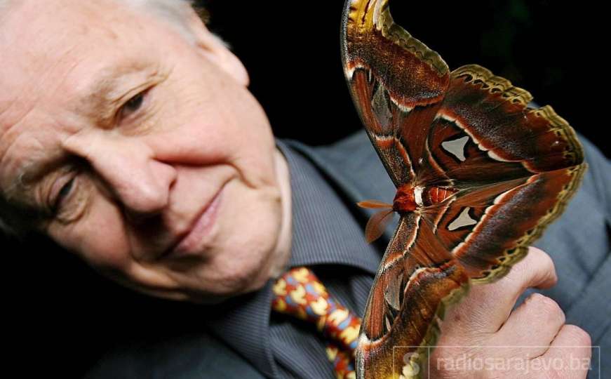 Attenborough: Moramo zaštititi okeane i prirodu, ljudska rasa će zažaliti