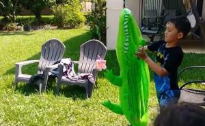 Majka s Floride snimala sina kako se igra u dvorištu pa ostala u šoku