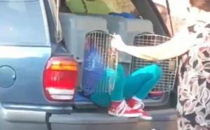 Baka iz pakla: Unuke prevozila u kavezima za pse 