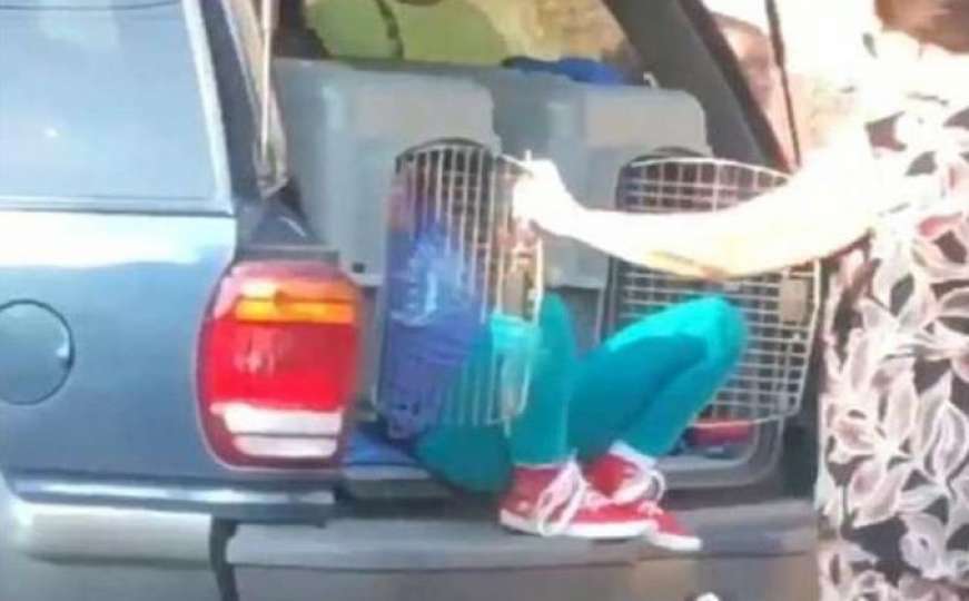 Baka iz pakla: Unuke prevozila u kavezima za pse 