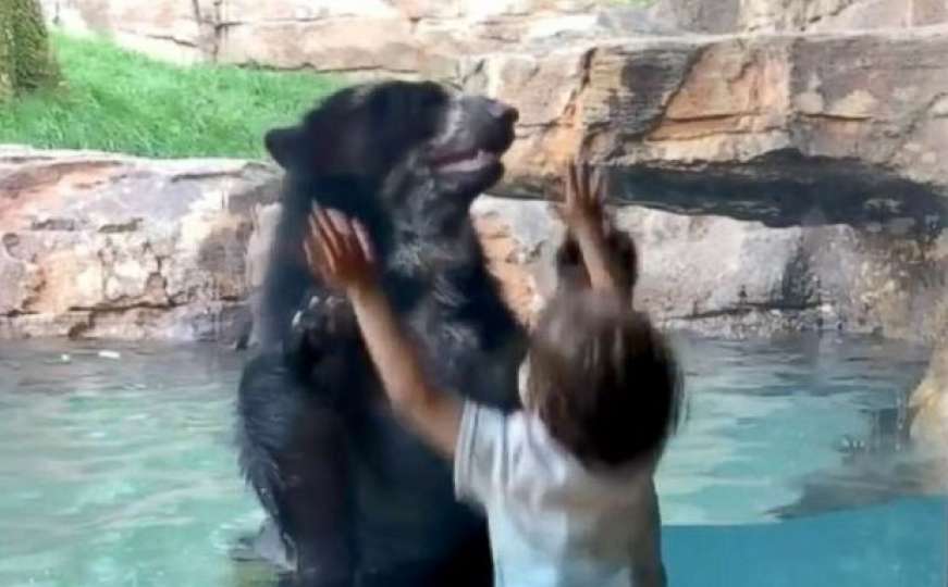 Razigrani medvjed iz američkog zoološkog vrta se zabavio s posjetiteljem