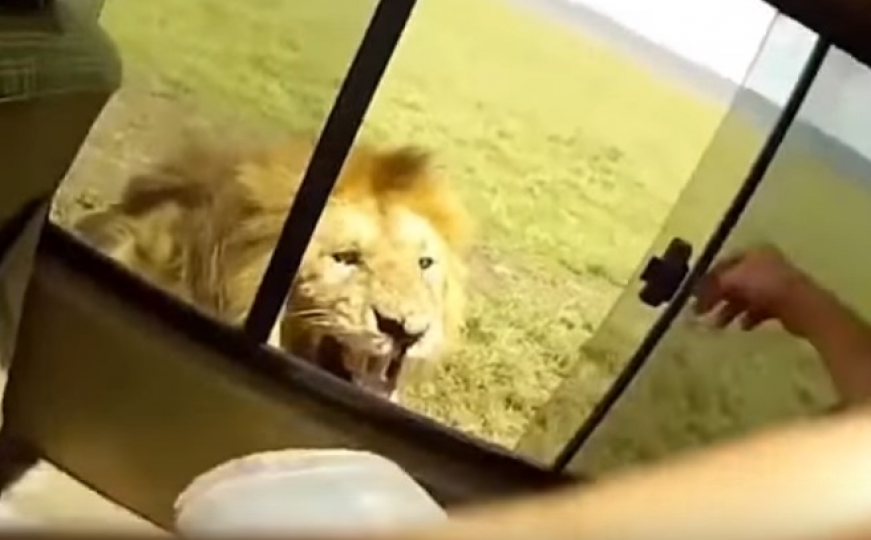 Zastrašujući snimak obišao svijet: Turista pokušao pomaziti lava