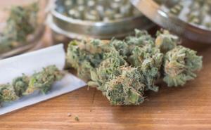 Naučnici otkrivaju: Može li se predozirati marihuanom