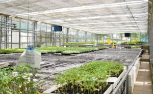 Gotovo 200 ljudi živi od rada na zadruzi BIOS kod Visokog