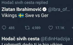 Jarane naš, Ibra ti je de fakto viking