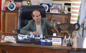 Uposlenici mačkama otvorili vrata općinske zgrade