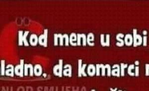 Toliko je hladno da ni komarci više ne zuje