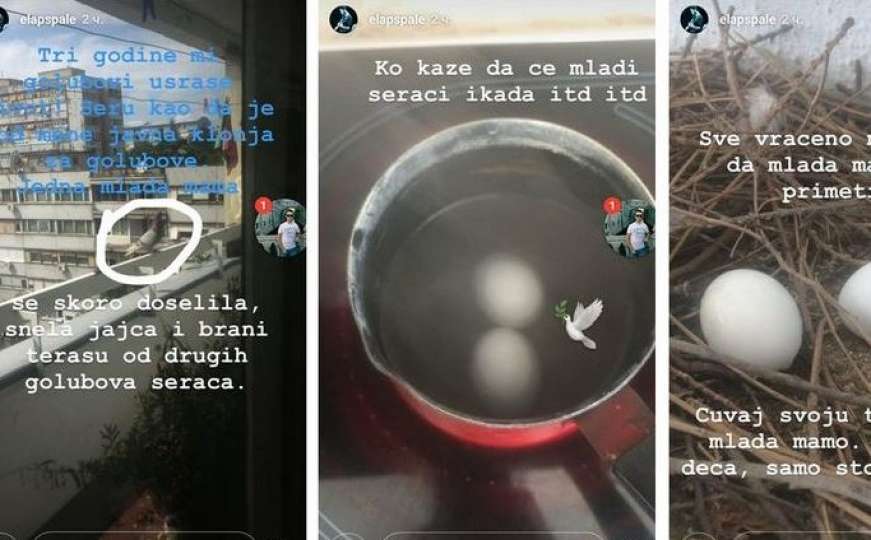 Beogradski roker zgrozio javnost: Skuhao golublja jaja