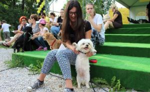 "Cukice" na Vilsu: Dogs Trust predstavio Fostering program udomljavanja pasa