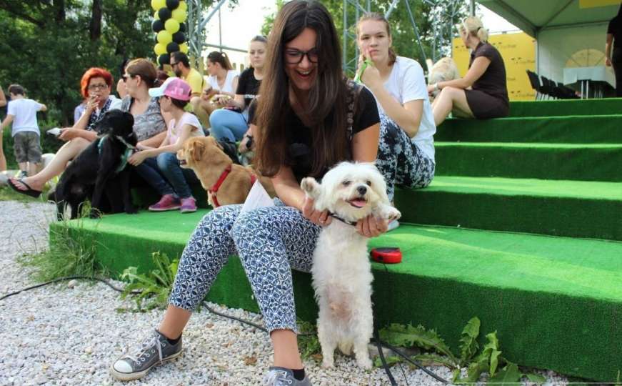 "Cukice" na Vilsu: Dogs Trust predstavio Fostering program udomljavanja pasa