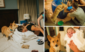 Pas nadgledao porod vlasnice: Znao je da me boli, brinuo se