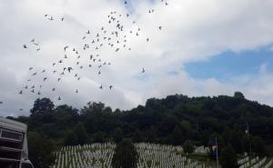 Memorijalni let: Iz Potočara pušteno 950 golubova pismonoša